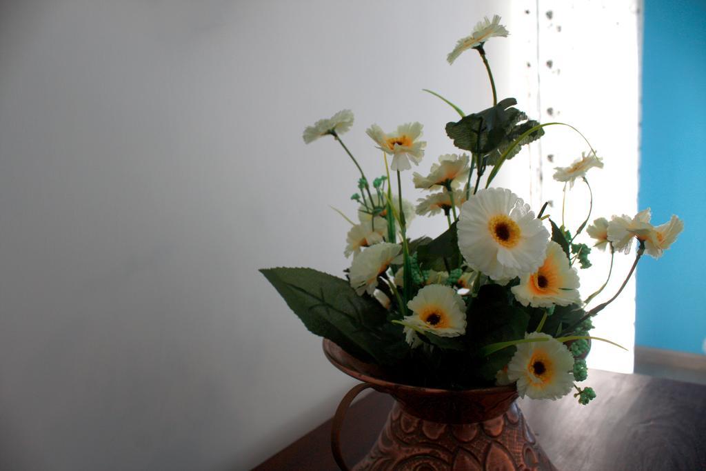 Cantalupa Accommodation Roma Ngoại thất bức ảnh